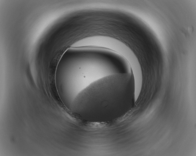 X0000115110239200911101612