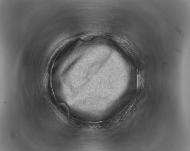 X0000115110243200911101611