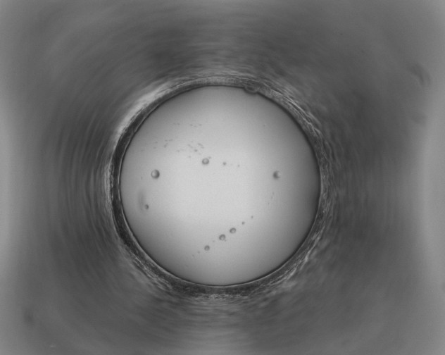 X0000115110244200911101611