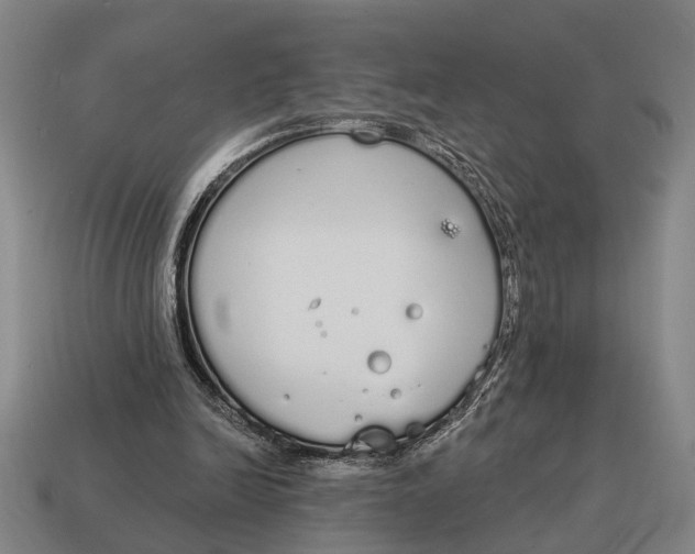 X0000115110246200911101611