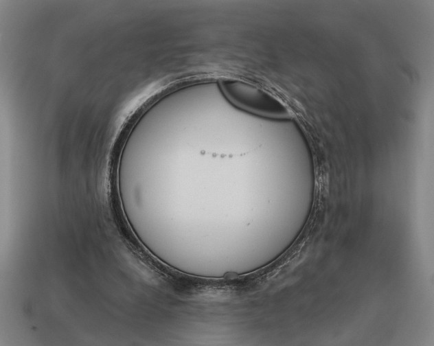 X0000115110248200911101612