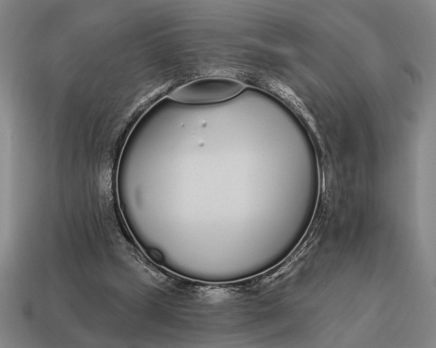 X0000115110249200911101612