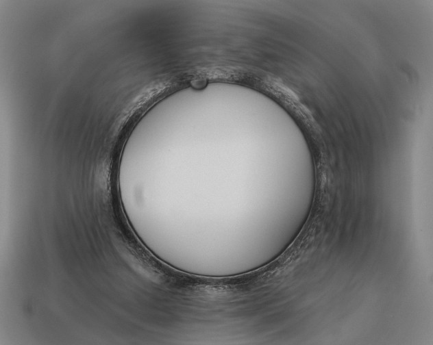 X0000115110250200911101612