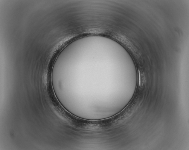X0000115110252200911101612