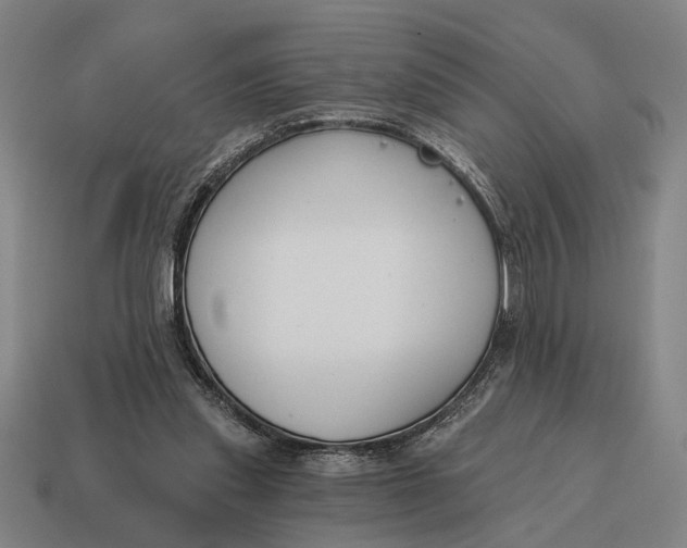 X0000115110253200911101612