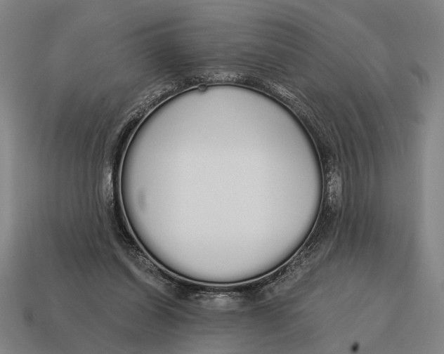 X0000115110254200911101612