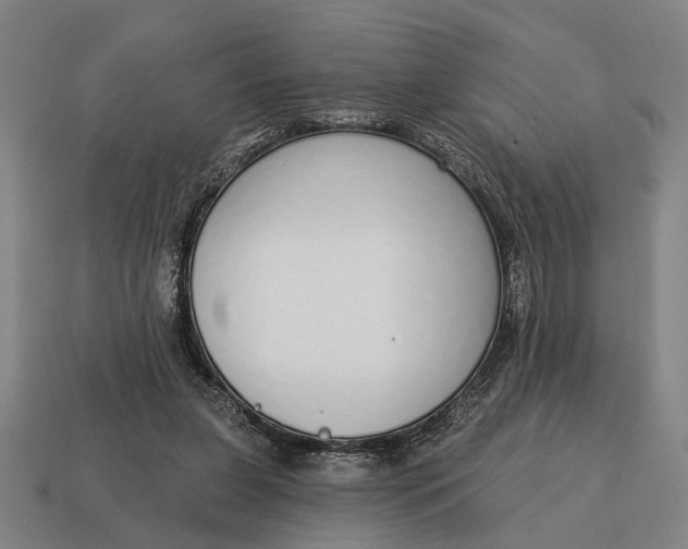 X0000115110255200911101612