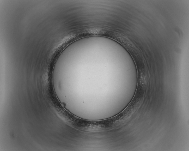 X0000115110256200911101612
