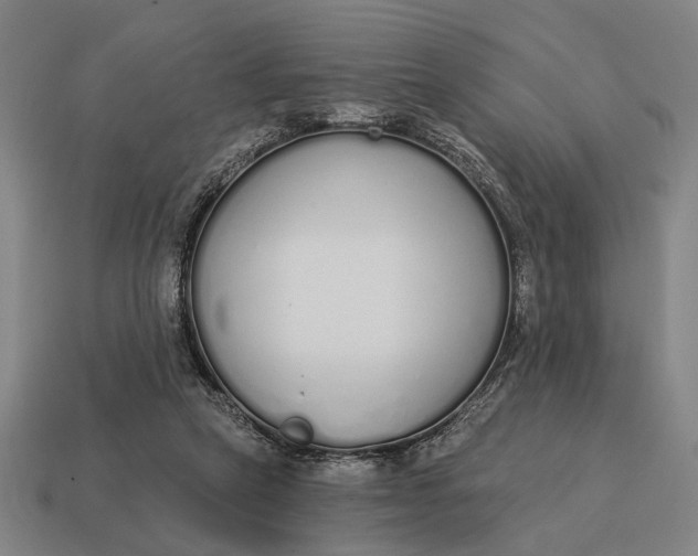 X0000115110257200911101612