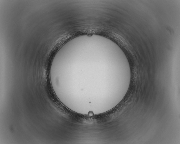 X0000115110258200911101612