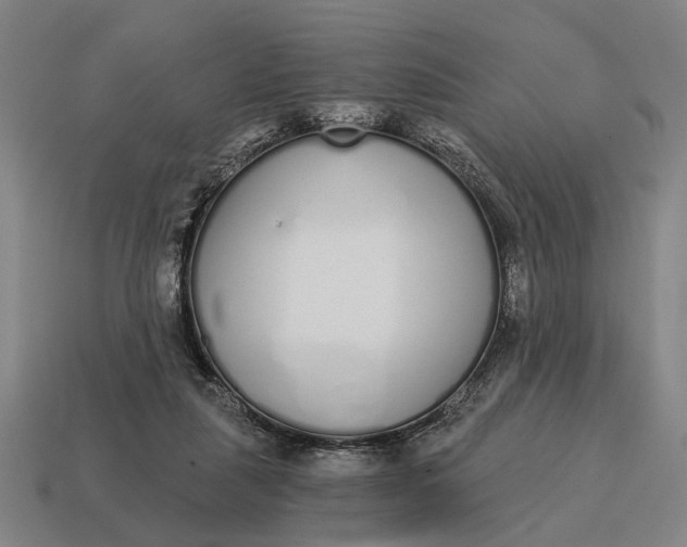 X0000115110259200911101612