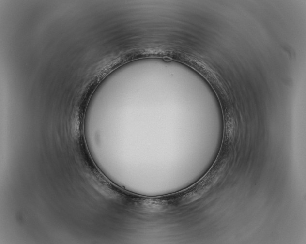 X0000115110261200911101612