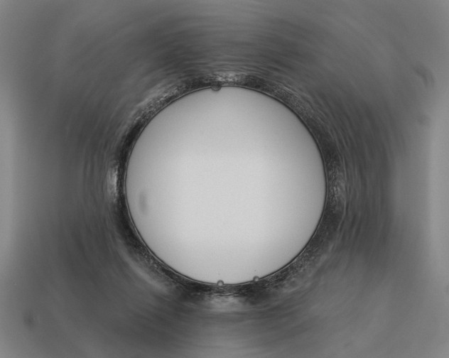 X0000115110262200911101612