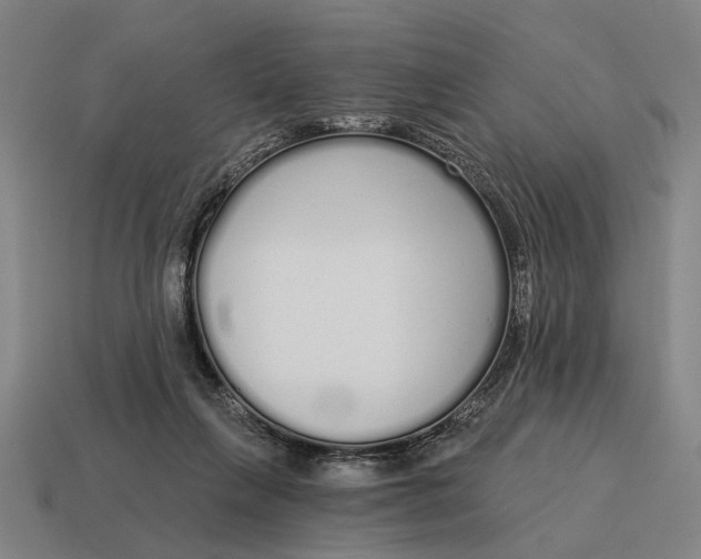 X0000115110263200911101612