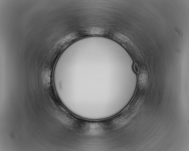 X0000115110264200911101612