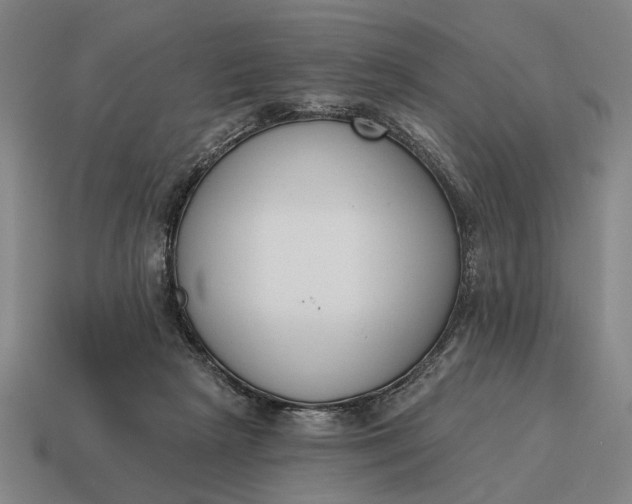 X0000115110265200911101612