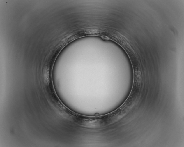 X0000115110267200911101612