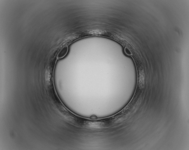 X0000115110268200911101612