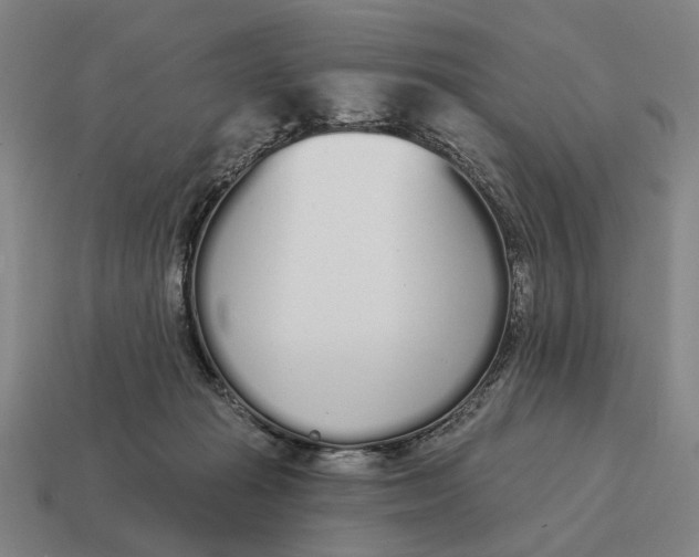 X0000115110269200911101612