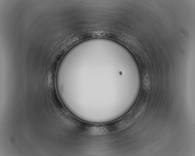 X0000115110270200911101612