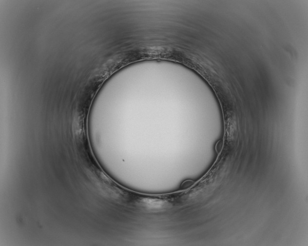X0000115110272200911101612