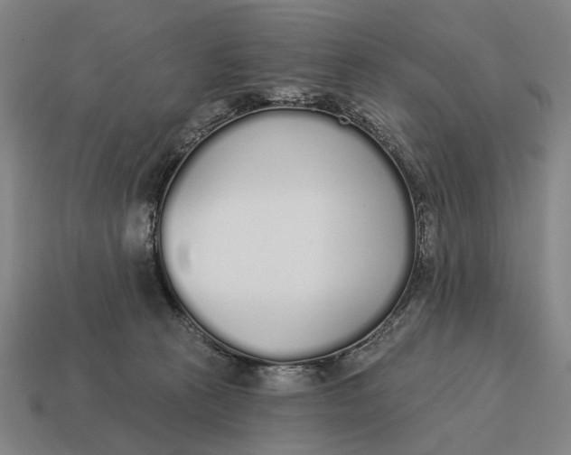 X0000115110273200911101612