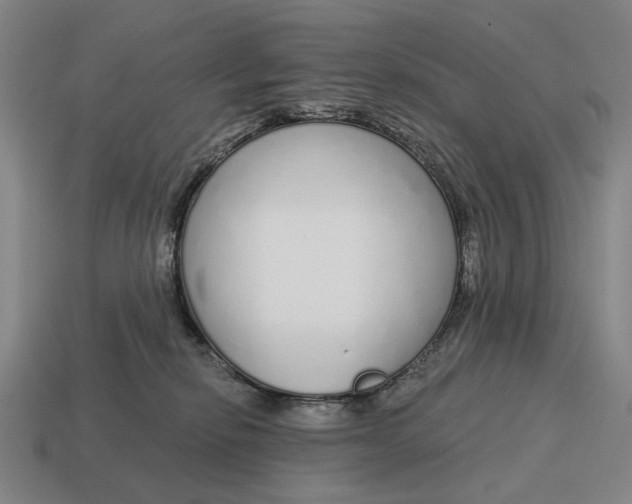 X0000115110278200911101612