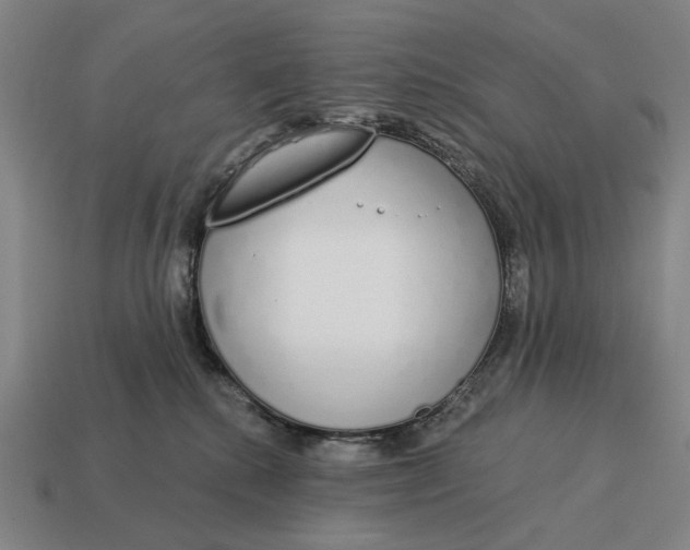 X0000115110280200911101612