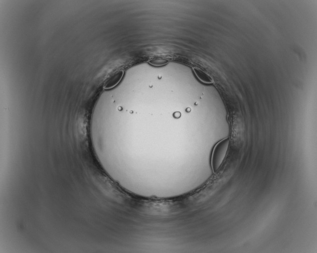 X0000115110282200911101612