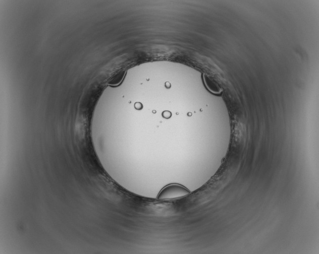 X0000115110283200911101612