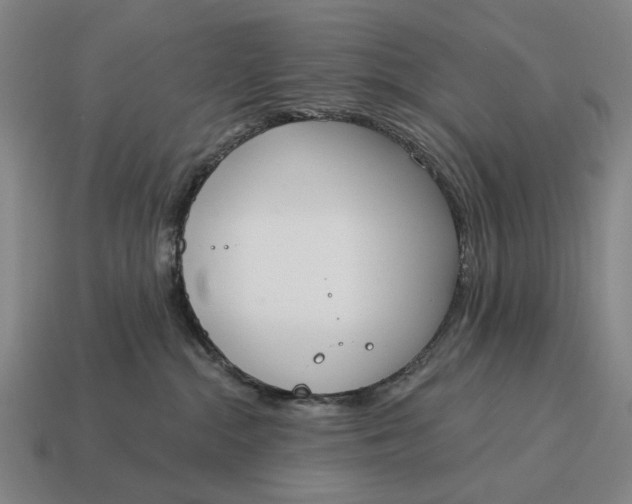 X0000115110284200911101612