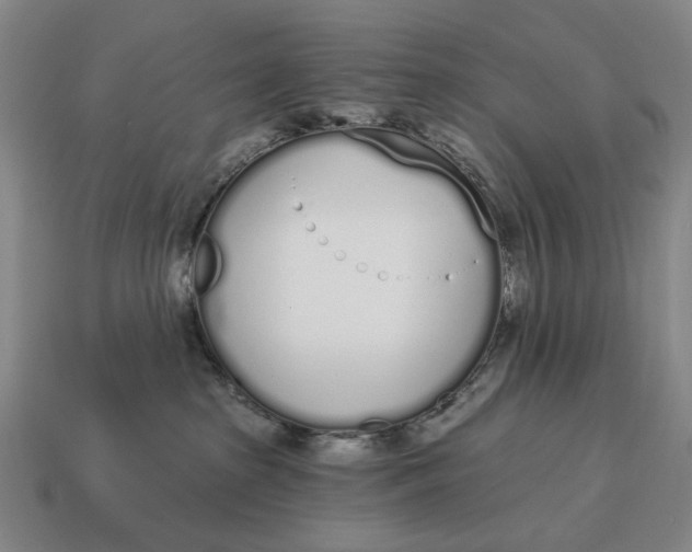 X0000115110285200911101612