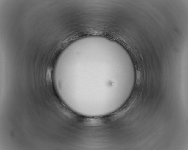 X0000115110286200911101612
