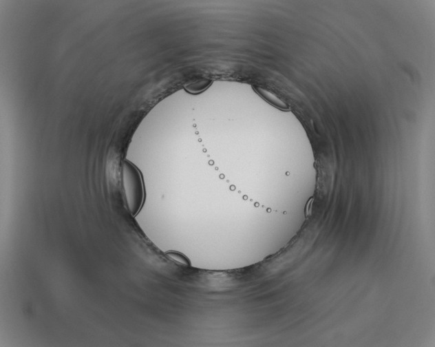 X0000115110287200911101612