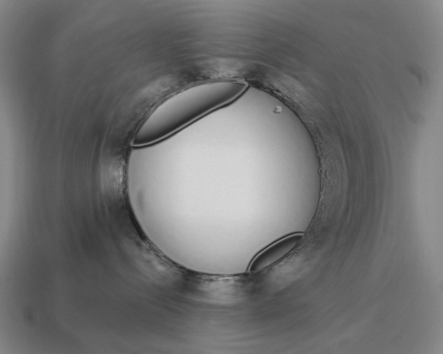 X0000115110288200911101612