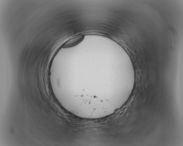 X0000115110289200911101611