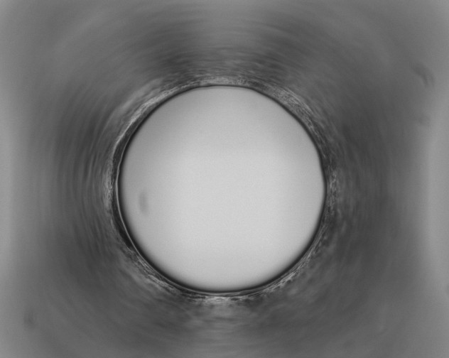 X0000115110290200911101611