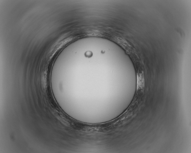X0000115110291200911101611