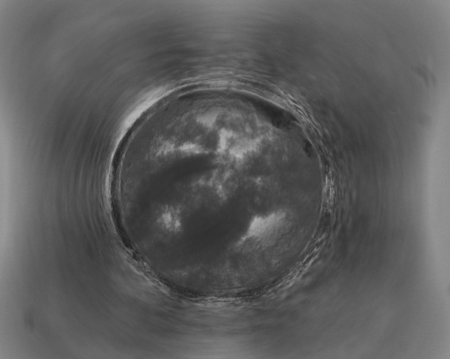 X0000115110292200911101611
