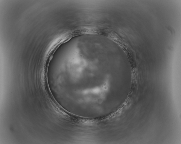 X0000115110293200911101611