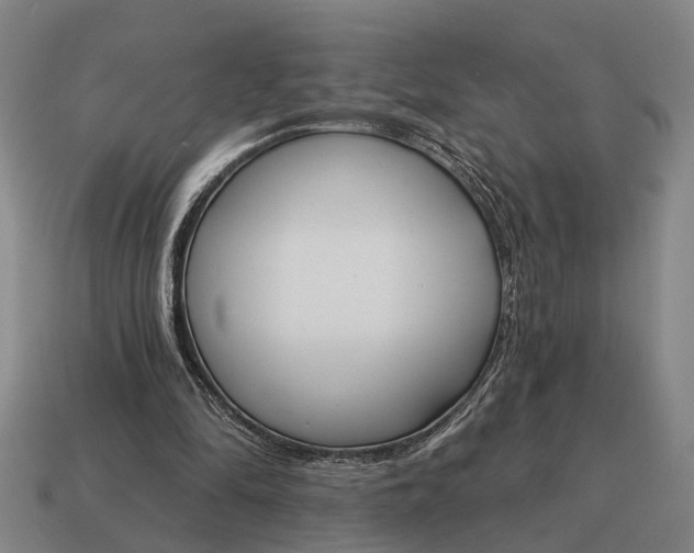 X0000115110294200911101611