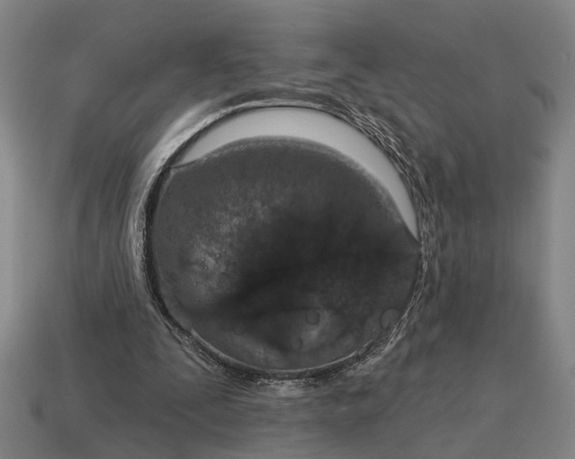 X0000115110295200911101611