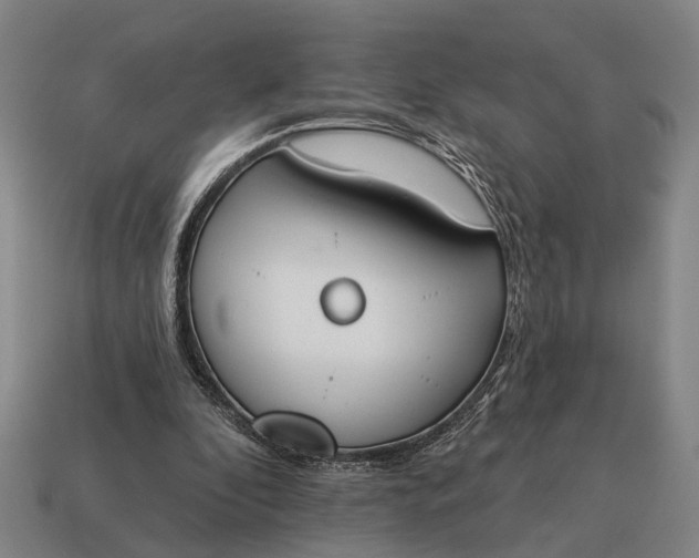 X0000115110296200911101611