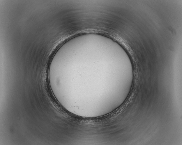 X0000115110297200911101611