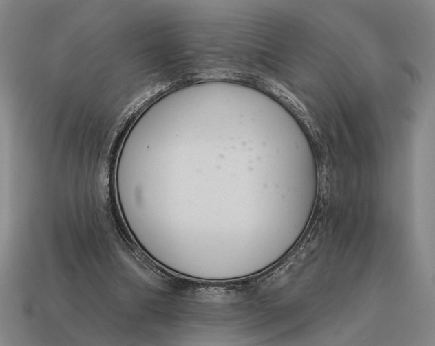 X0000115110298200911101611