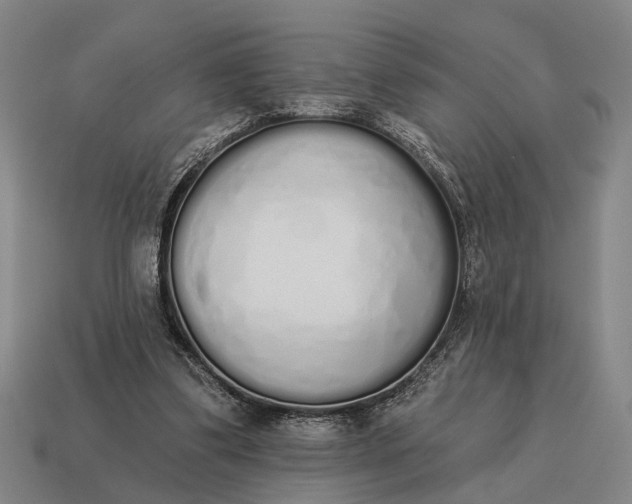 X0000115110299200911101611