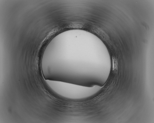 X0000115110300200911101611
