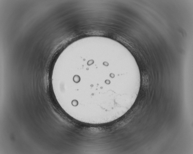 X0000115110302200911101611
