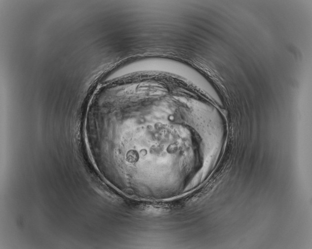 X0000115110303200911101611