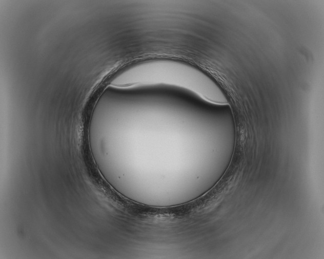 X0000115110304200911101611